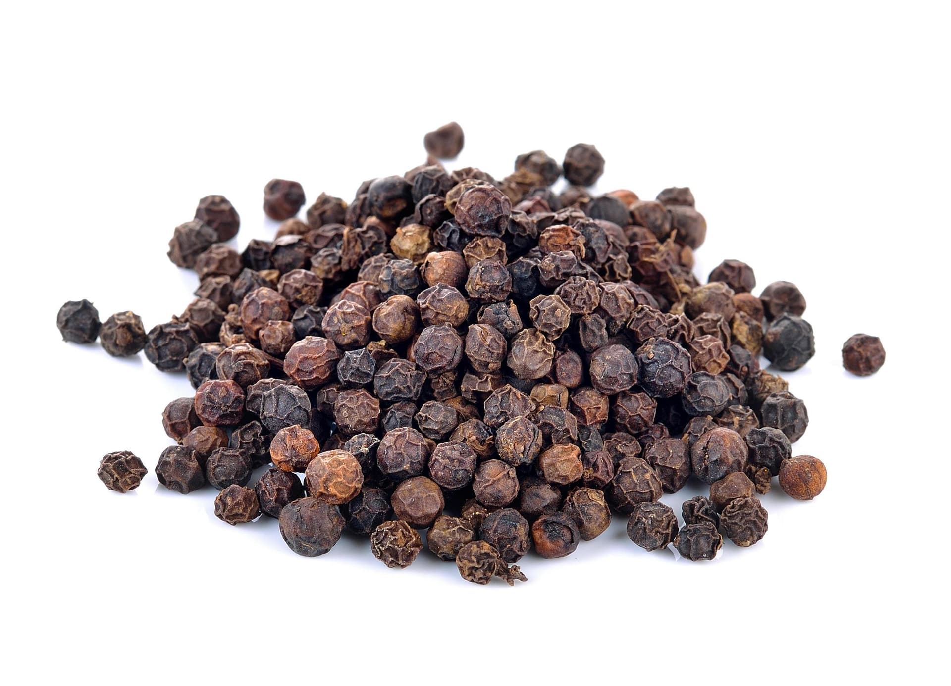 Black Pepper — Piper nigrum