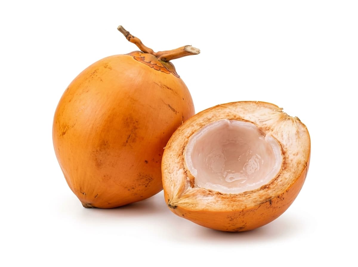 King Coconut — Cocos nucifera var. aurantiaca