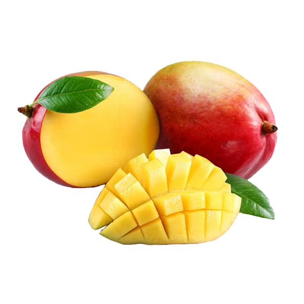 Mango — Mangifera indica