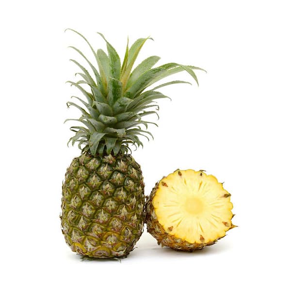Pineapple — Ananas comosus