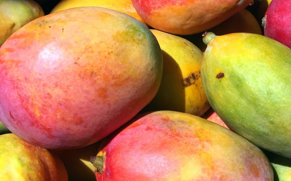 Tropical Fruits