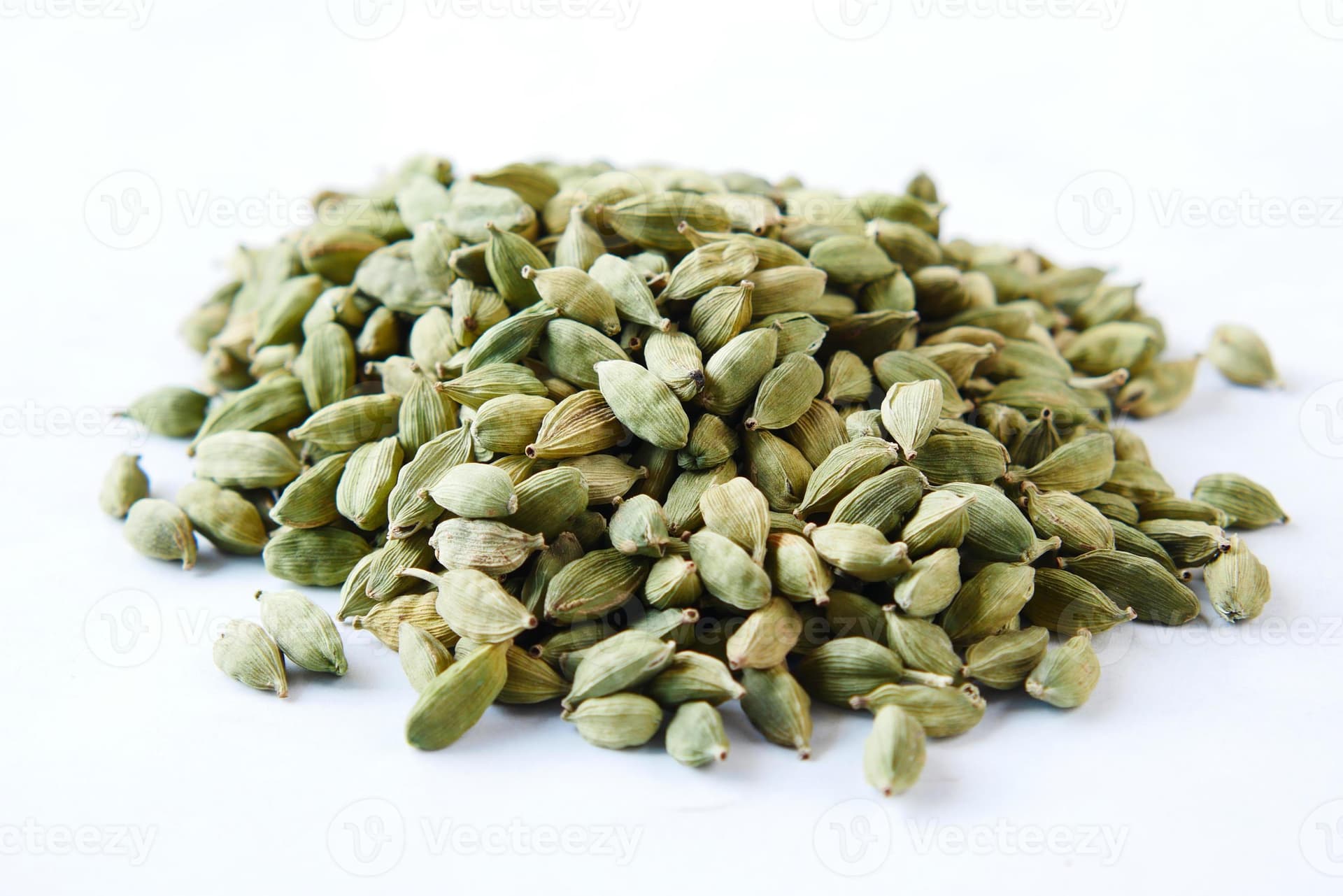 Cardamom — Elettaria cardamomum