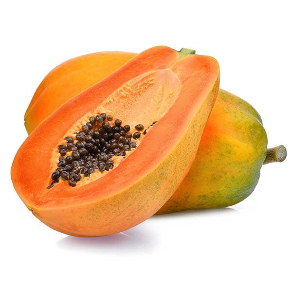 Papaya — Carica papaya