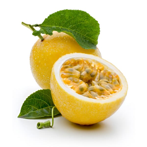 Passion Fruit — Passiflora edulis