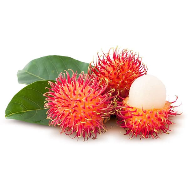 Rambutan — Nephelium lappaceum