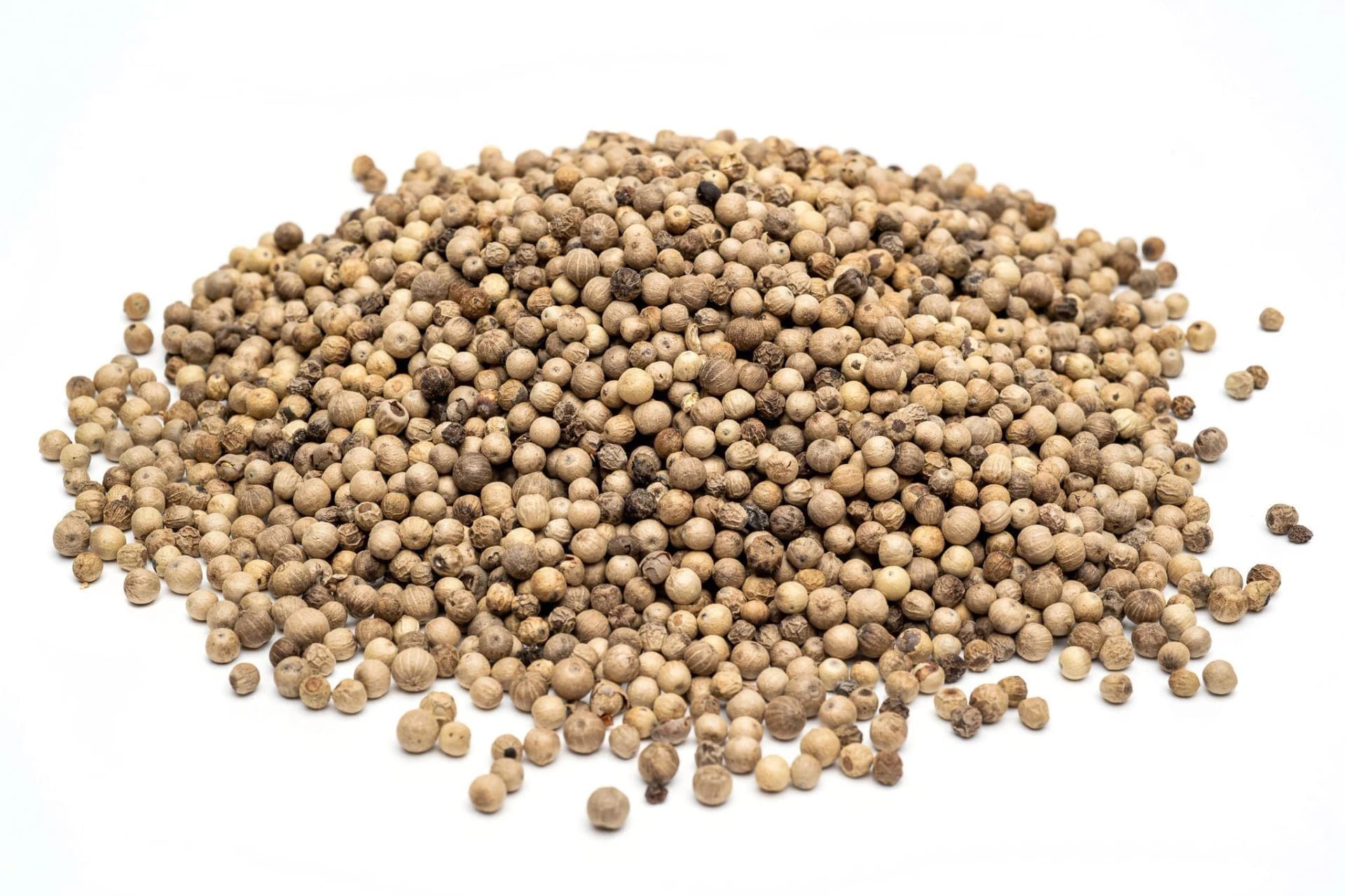 White Pepper — Piper nigrum
